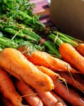 🌻Sadonkorjuupäivää vietetään Kouvolan Kauppatorilla lauantaina 22.8.2026 klo 9-13.

Myynnissä satokauden parhaita tuotteita sekä muuta mukavaa. 🍓🌽🥦🧄🥔

Tervetuloa torille!

www.kouvolansome.com

#sadonkorjuupäivä #sadonkorjuu #kouvolankauppatori #markkinat #vilkastori #kouvolassatapahtuu #kouvolanydinkeskusta #kauppatori